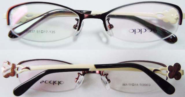 S123 Stainless Steel Spectacle Frame