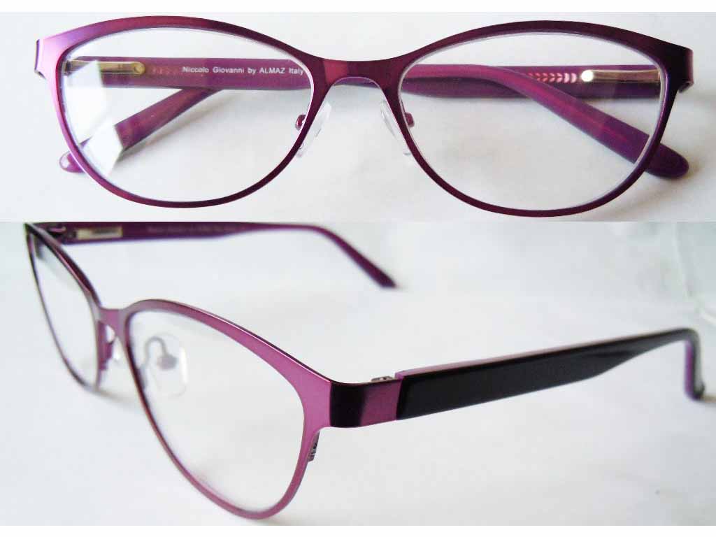 S301 Stainless Steel Spectacle Frame