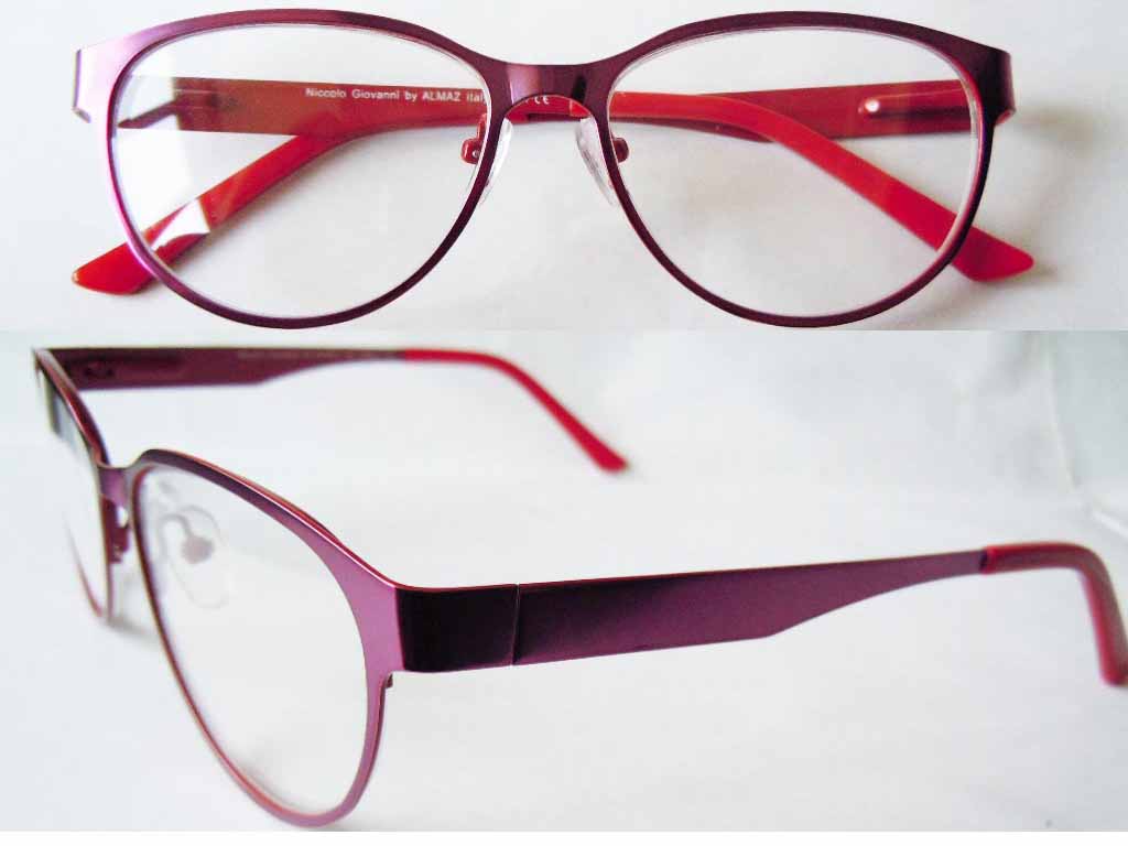 S302 Stainless Steel Spectacle Frame