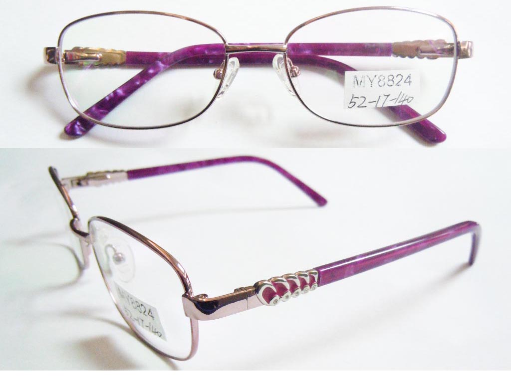 S361 Stainless Steel Spectacle Frame