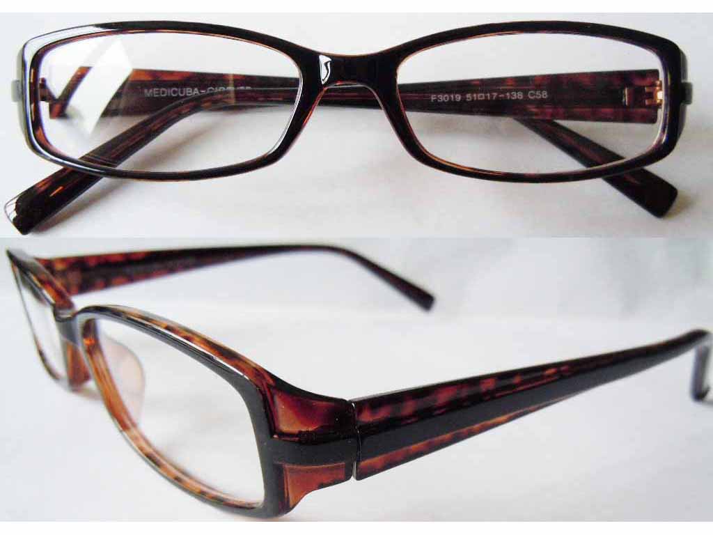 P300   Plastic Injection Eyeglass Frame