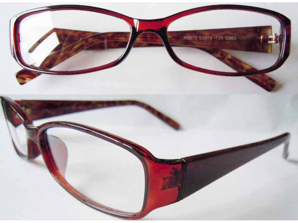 P301   Plastic Injection Eyeglass Frame