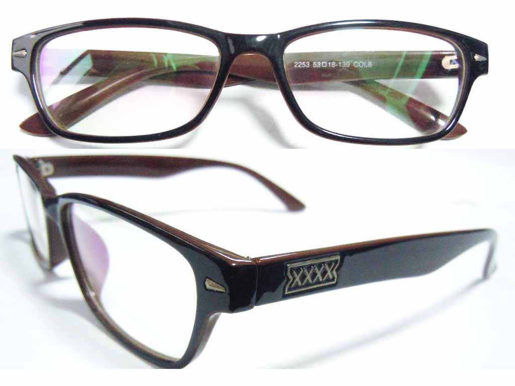 P339   Plastic Injection Eyeglass Frame