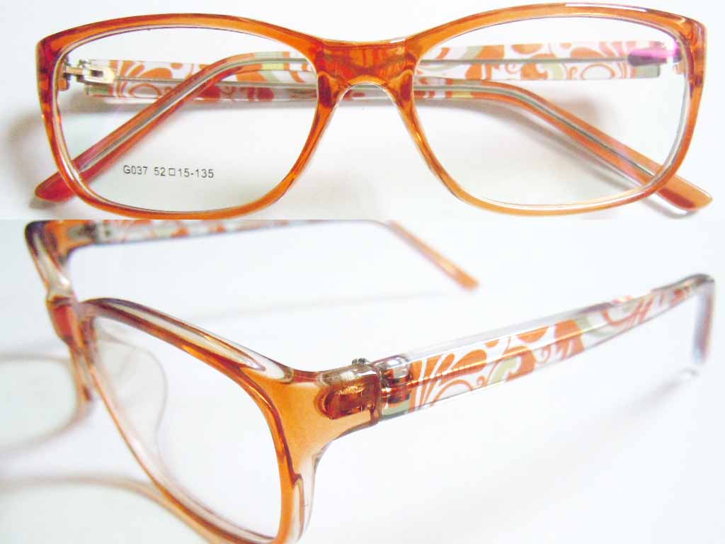 P393   Plastic Injection Eyeglass Frame