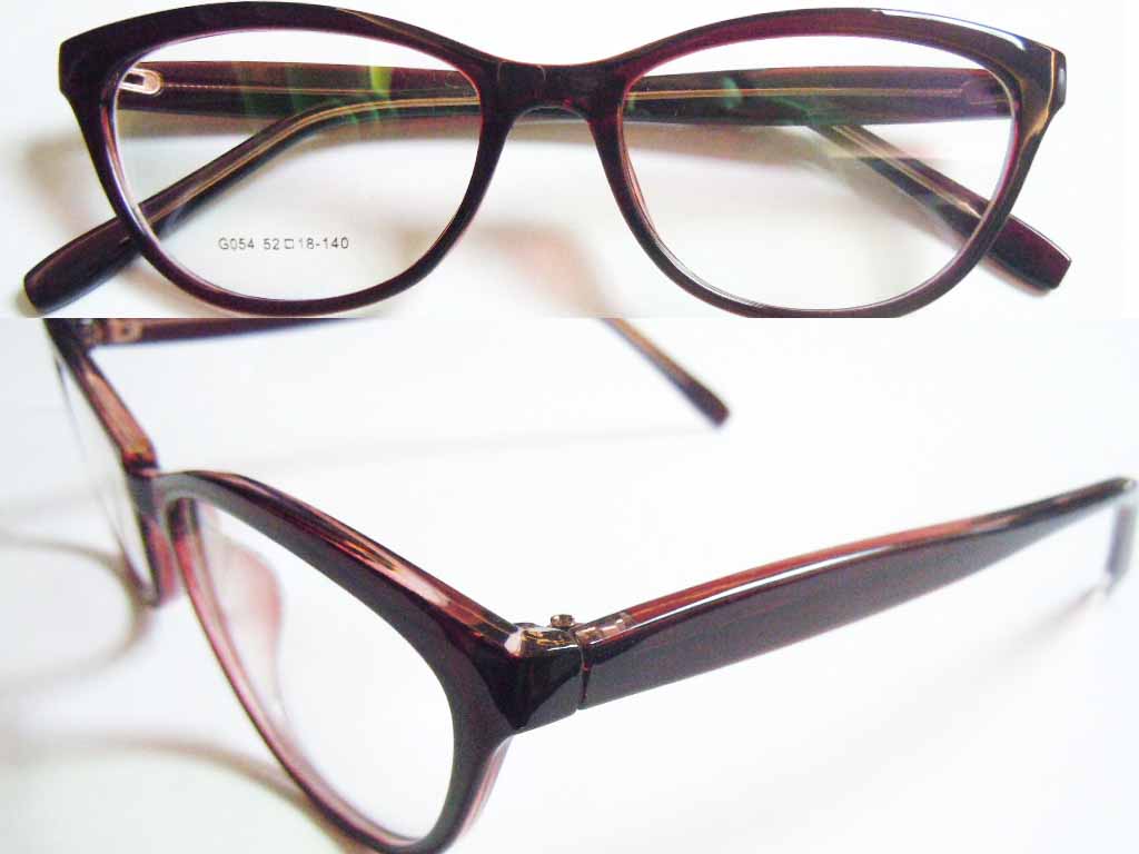 P406   Plastic Injection Eyeglass Frame