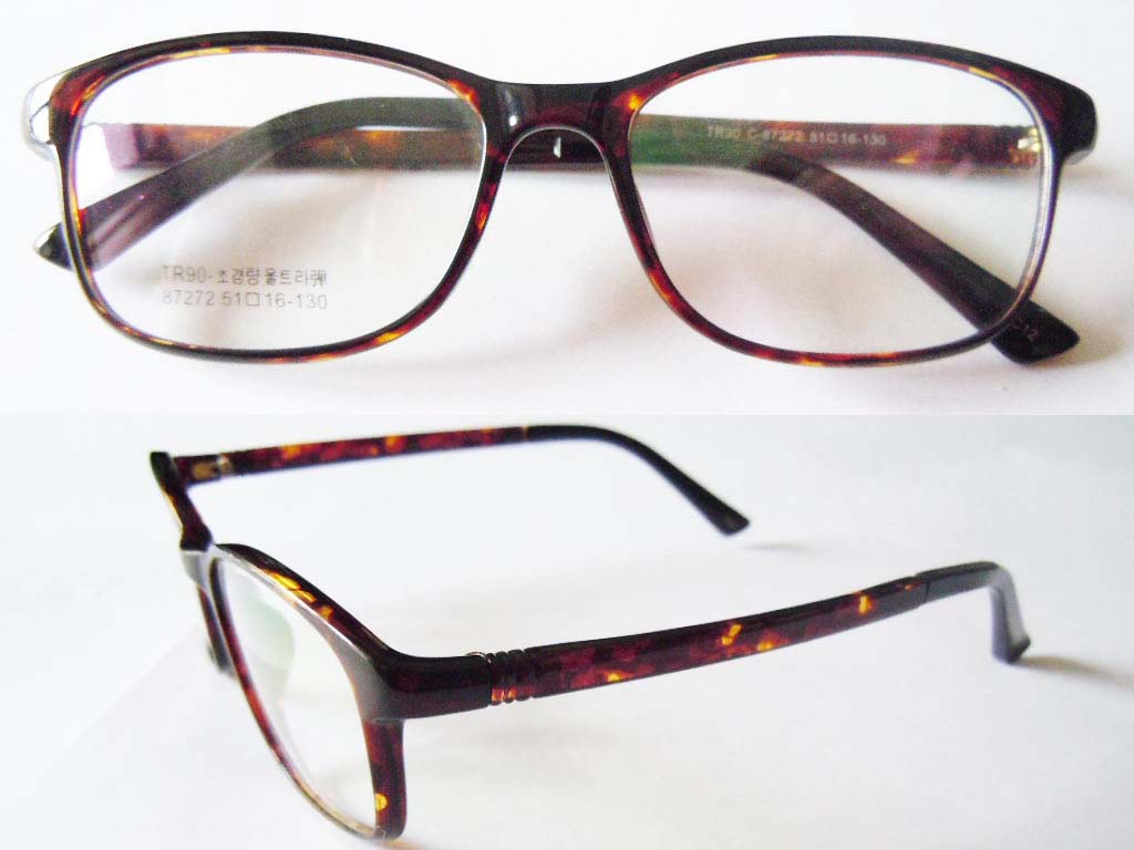 P500   TR90 Eyeglass Frame