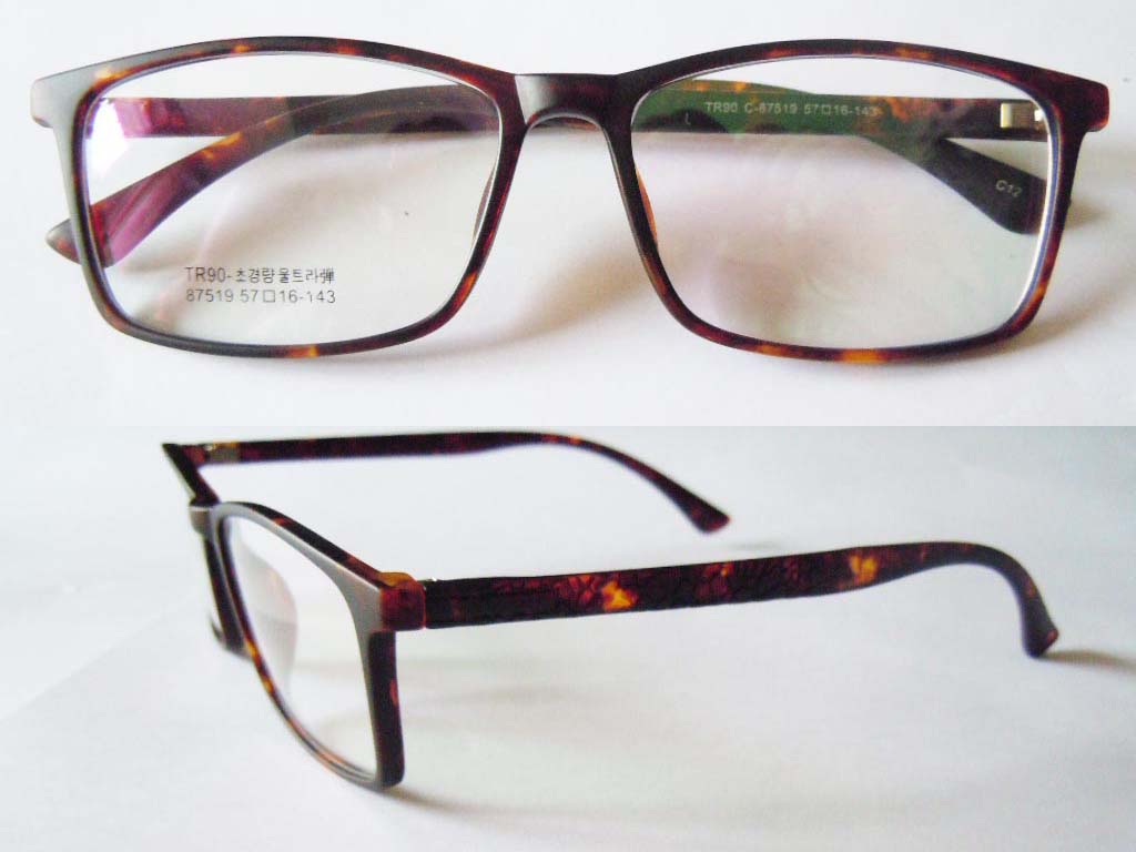 P541   TR90 Eyeglass Frame