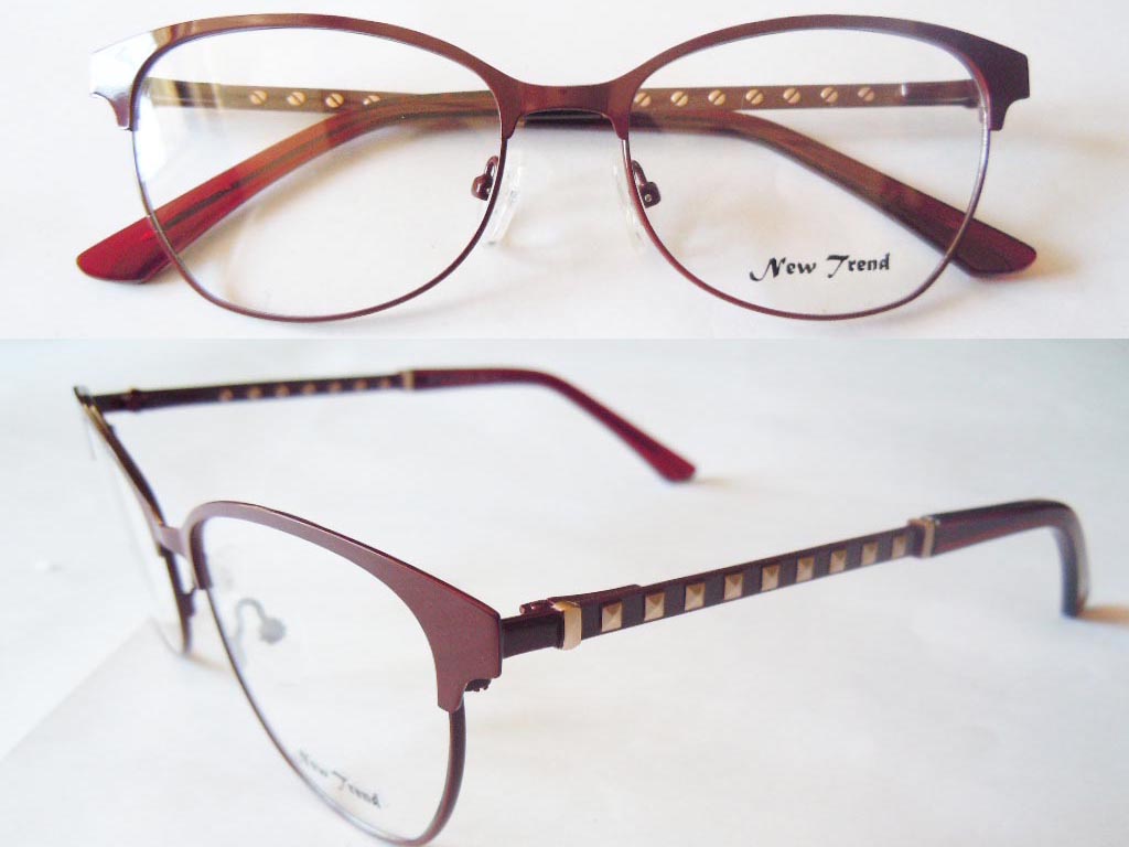 S393 Stainless Steel Spectacle Frame