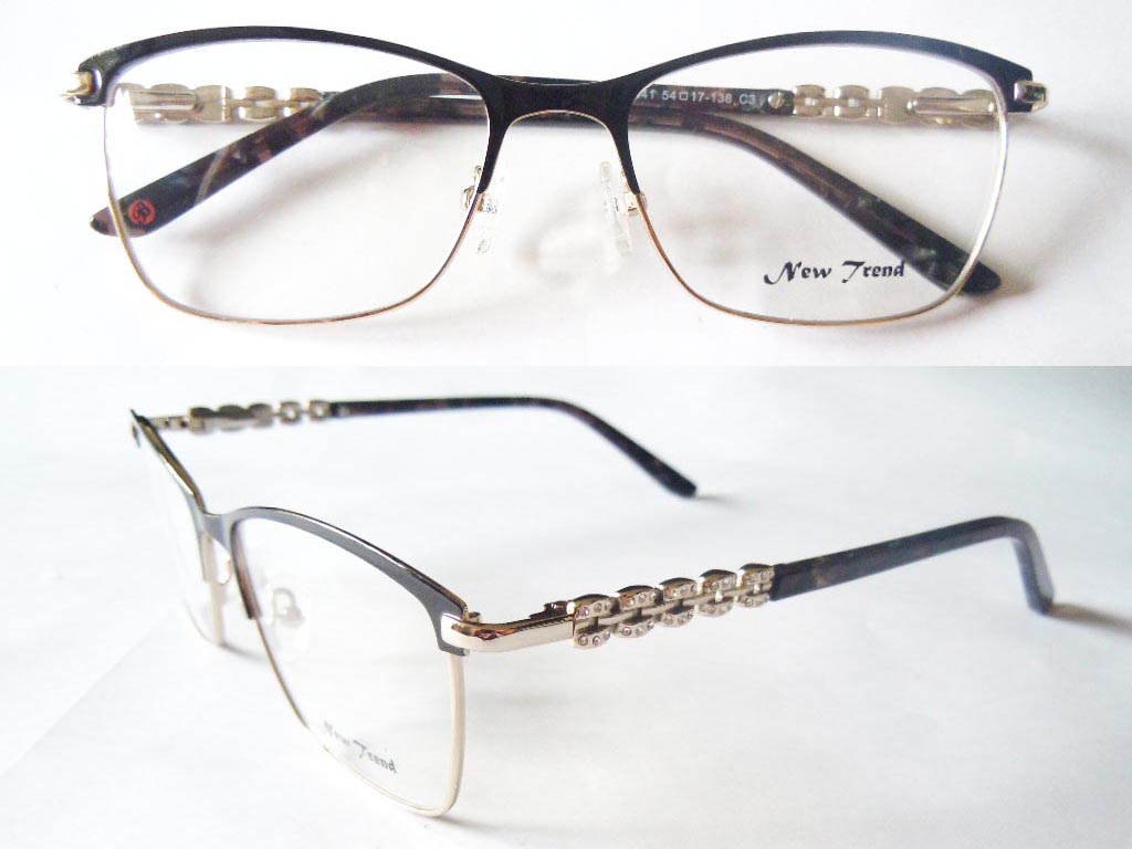 S396  Stainless Steel Spectacle Frame