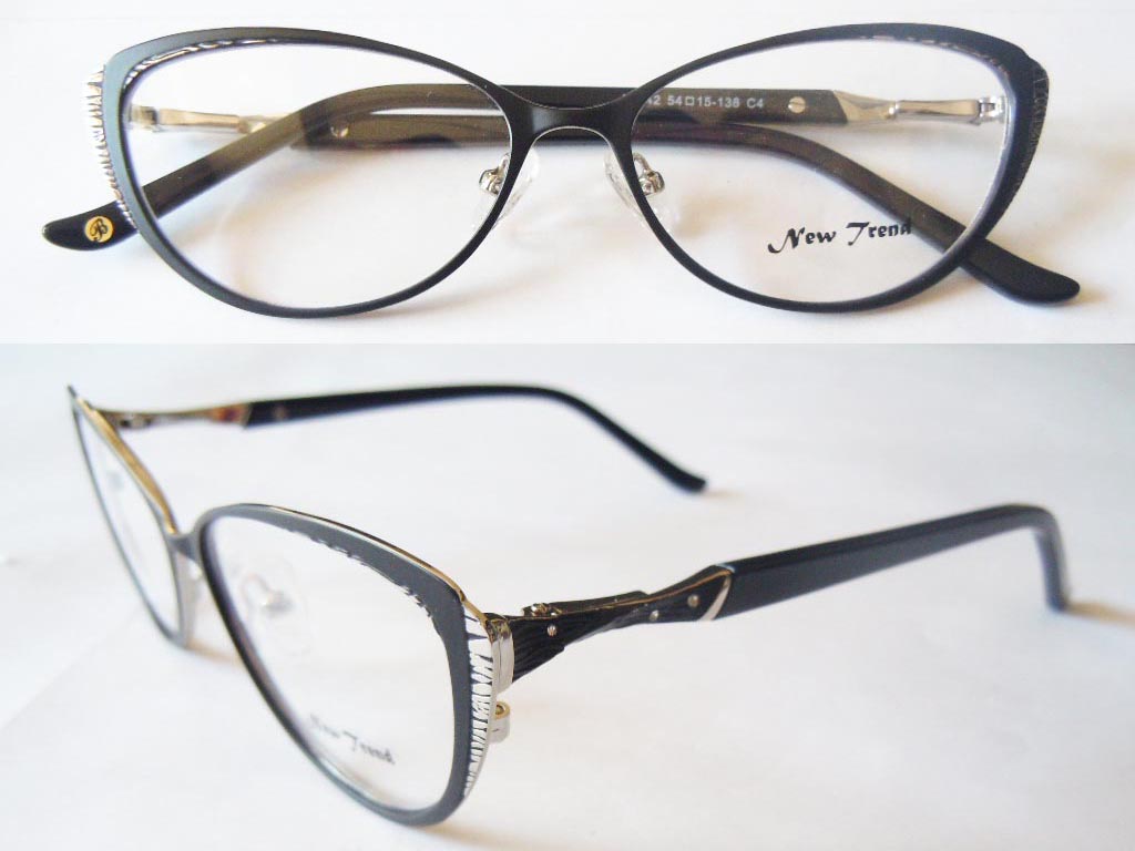 S397  Stainless Steel Spectacle Frame