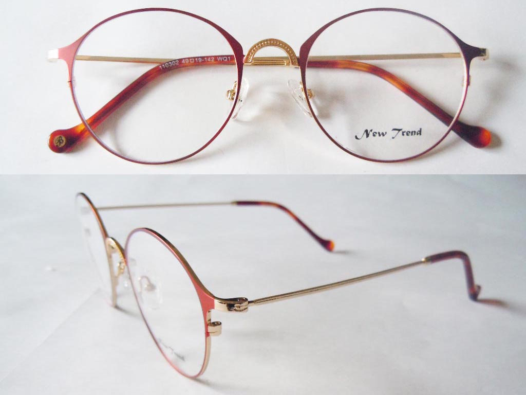 S398  Stainless Steel Spectacle Frame