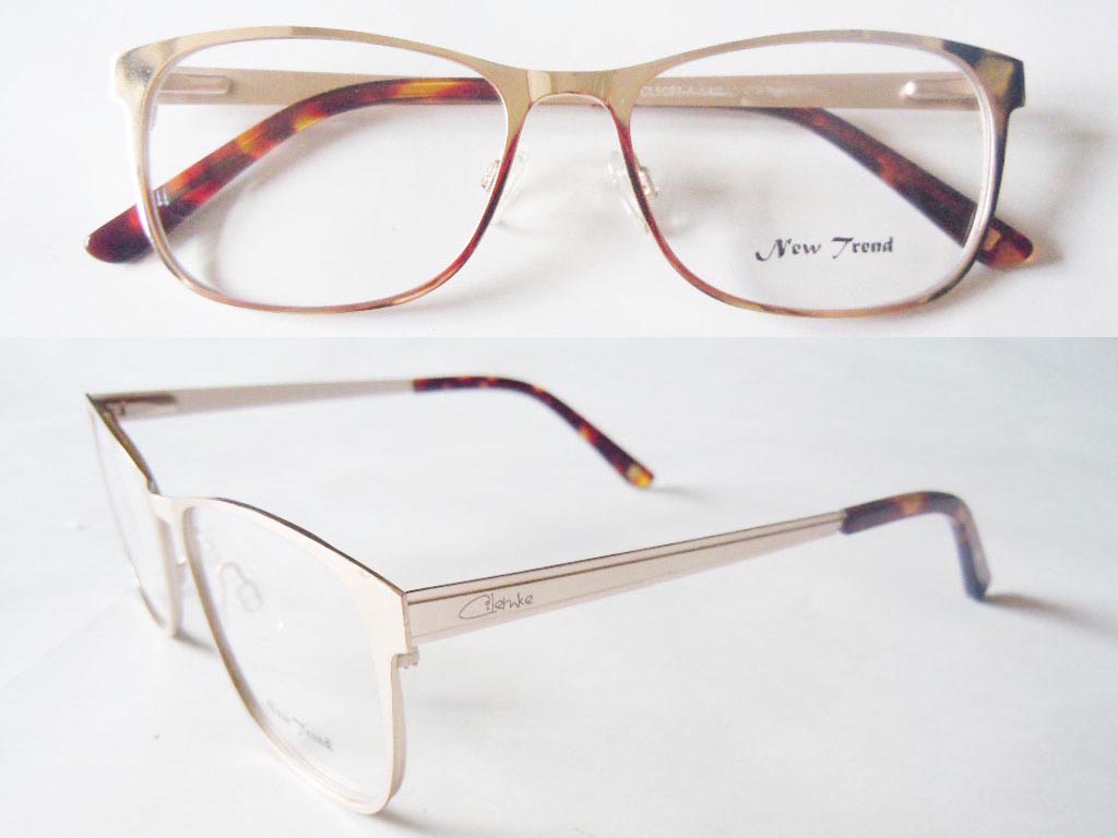 S406  Stainless Steel Spectacle Frame