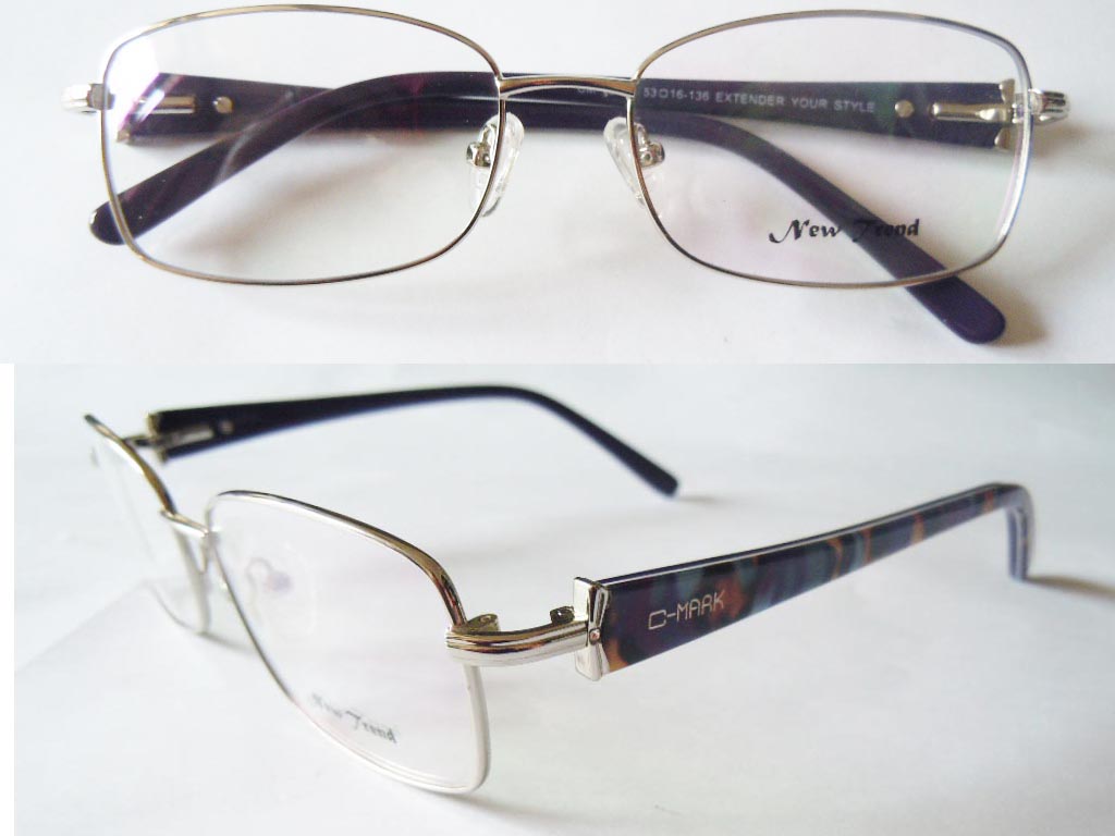 S417  Stainless Steel Spectacle Frame