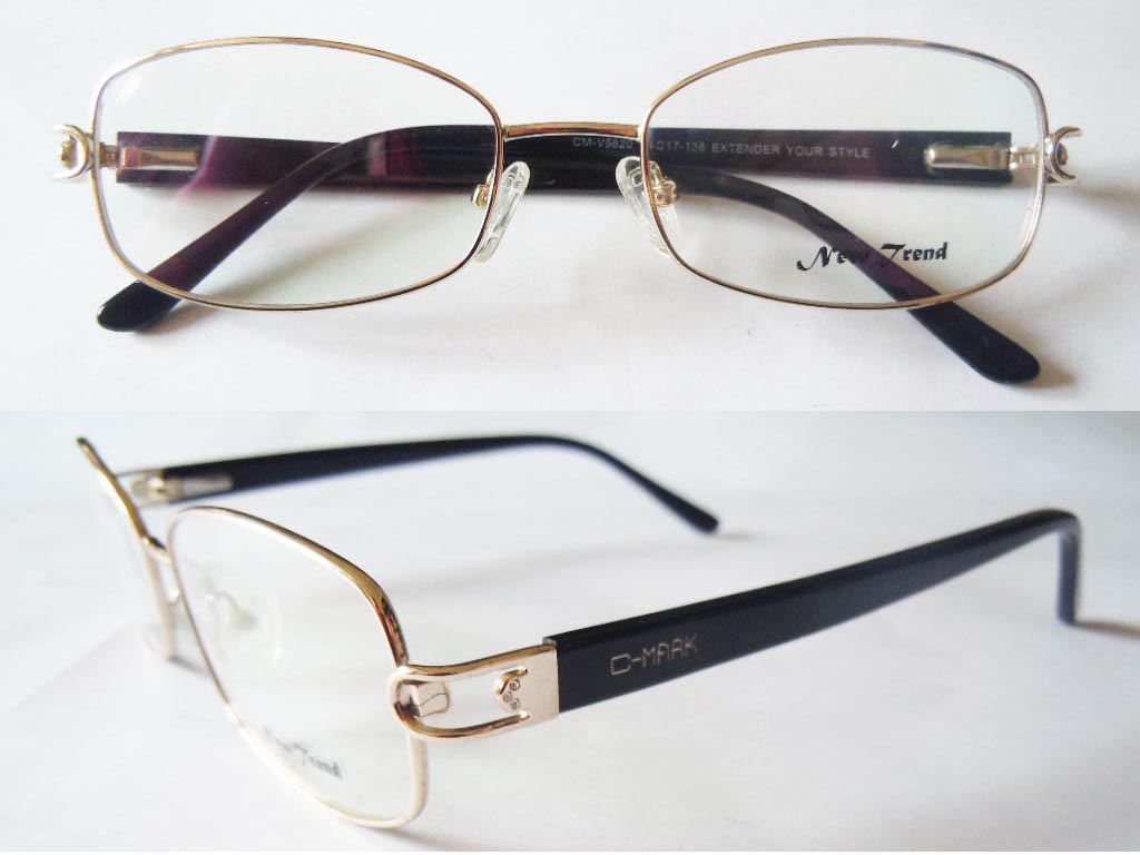 S423  Stainless Steel Spectacle Frame