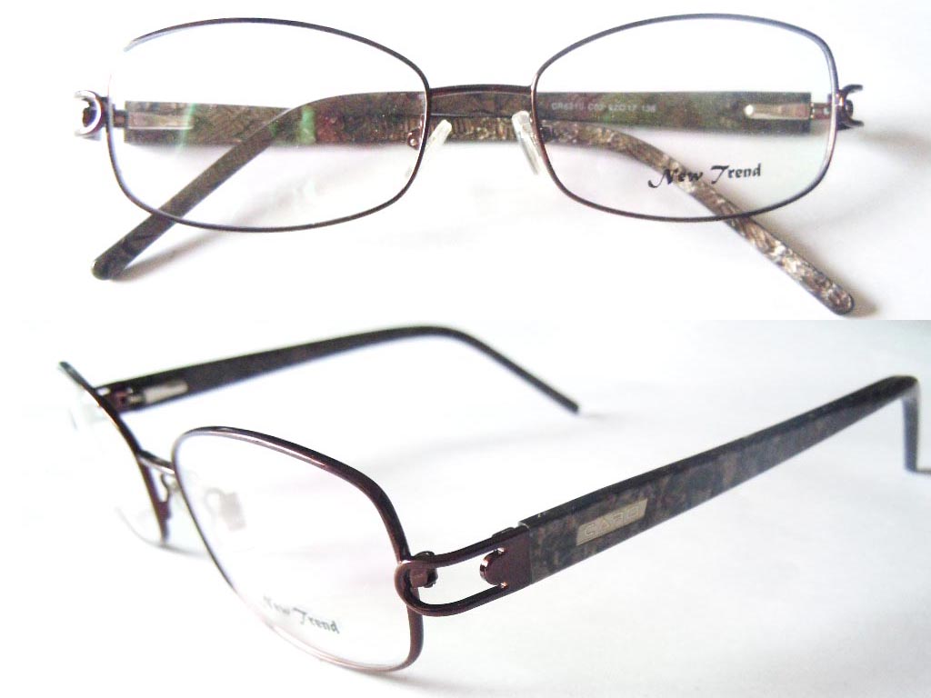 S427  Stainless Steel Spectacle Frame