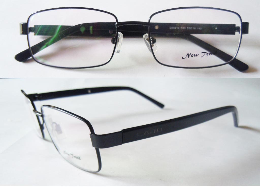 S428  Stainless Steel Spectacle Frame