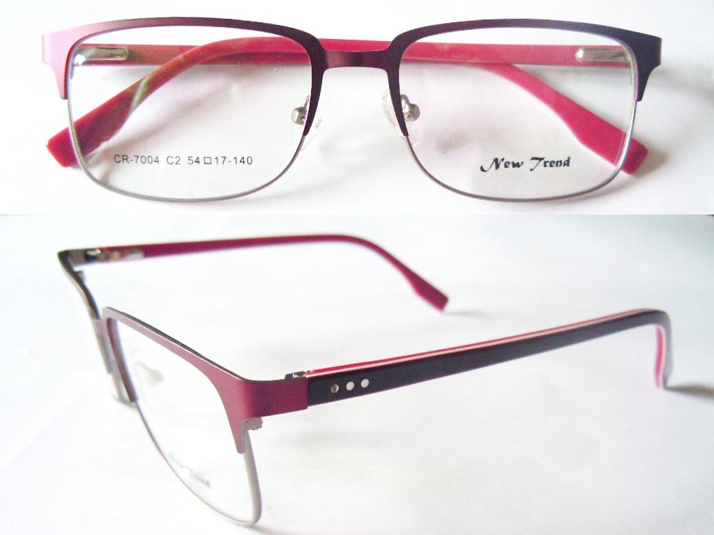 S429  Stainless Steel Spectacle Frame