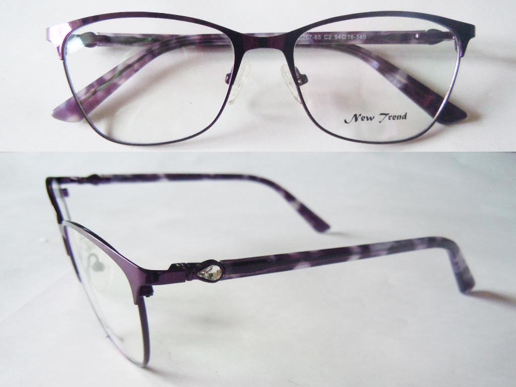 S434  Stainless Steel Spectacle Frame