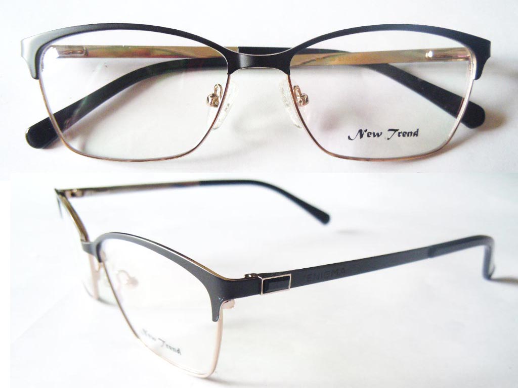 S436  Stainless Steel Spectacle Frame