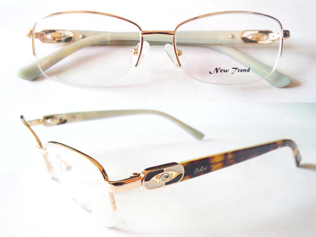 S443  Stainless Steel Spectacle Frame