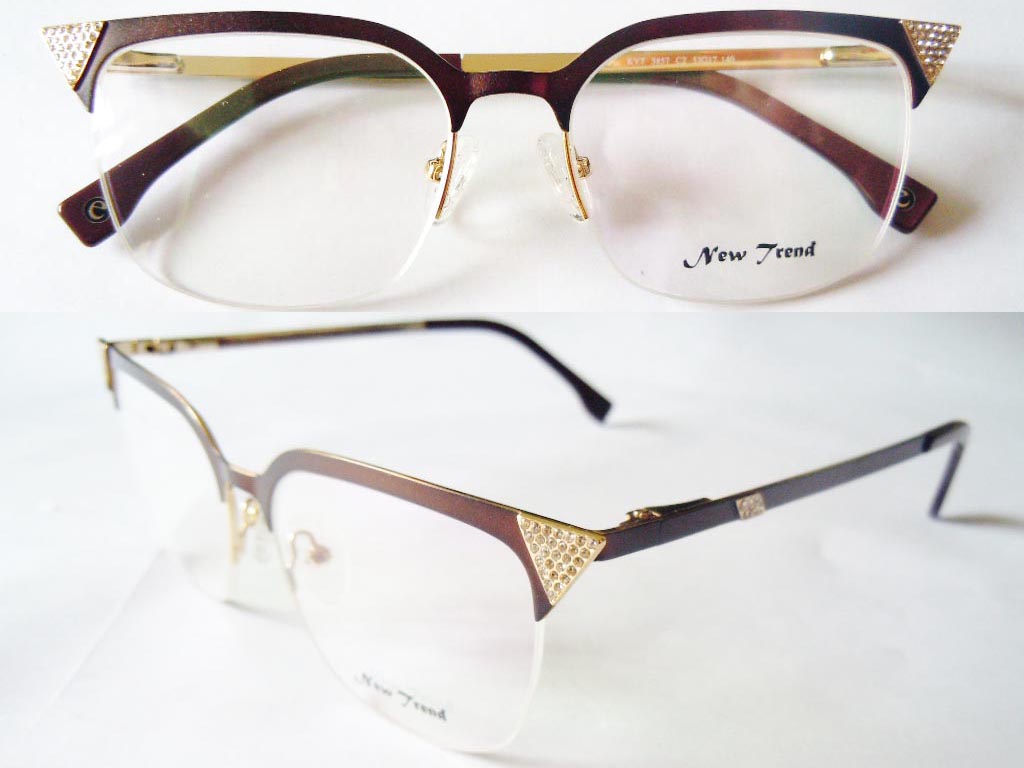 S445  Stainless Steel Spectacle Frame