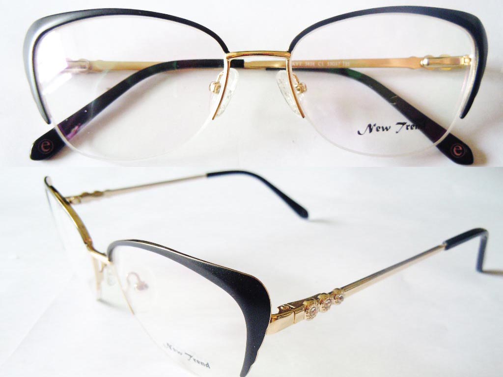 S446  Stainless Steel Spectacle Frame