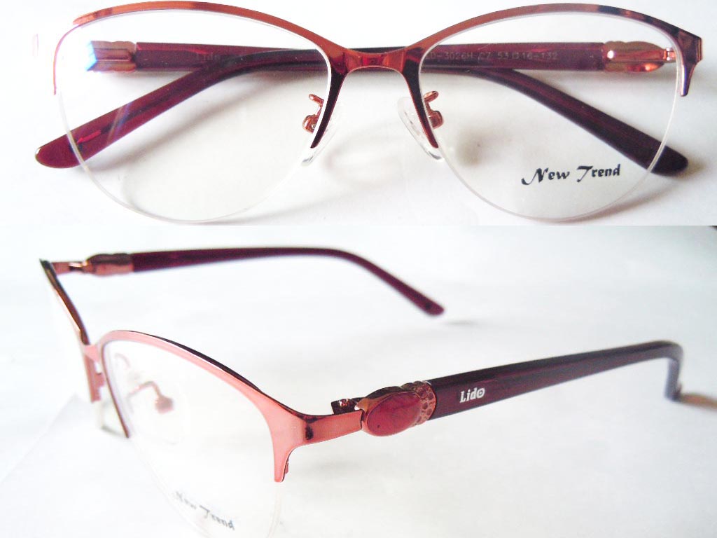 S454   Stainless Steel Spectacle Frame