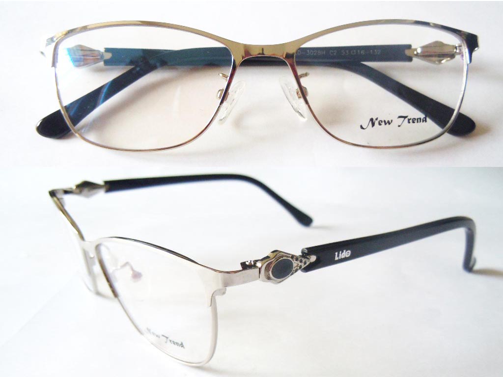 S455   Stainless Steel Spectacle Frame