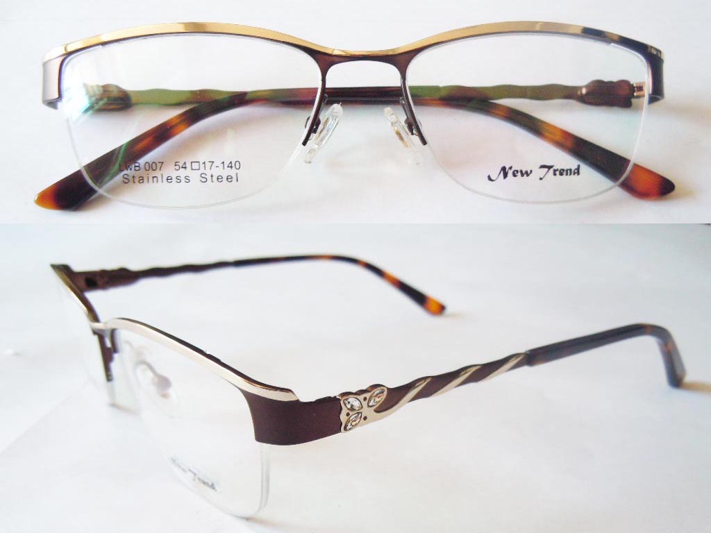 S456   Stainless Steel Spectacle Frame