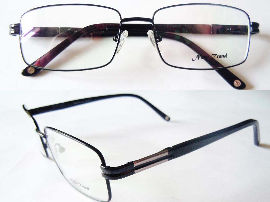 S461   Stainless Steel Spectacle Frame