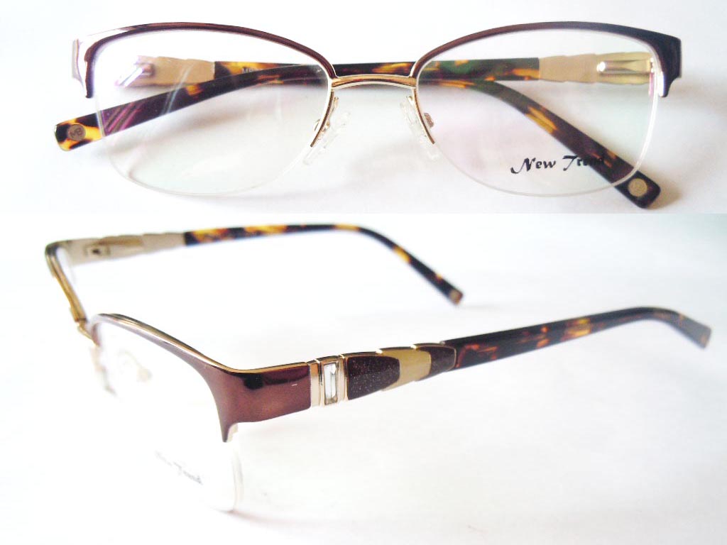 S463   Stainless Steel Spectacle Frame