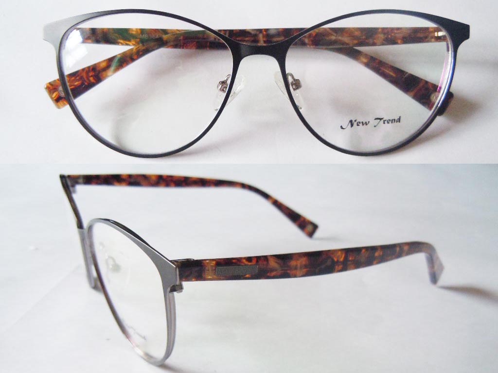 S464   Stainless Steel Spectacle Frame