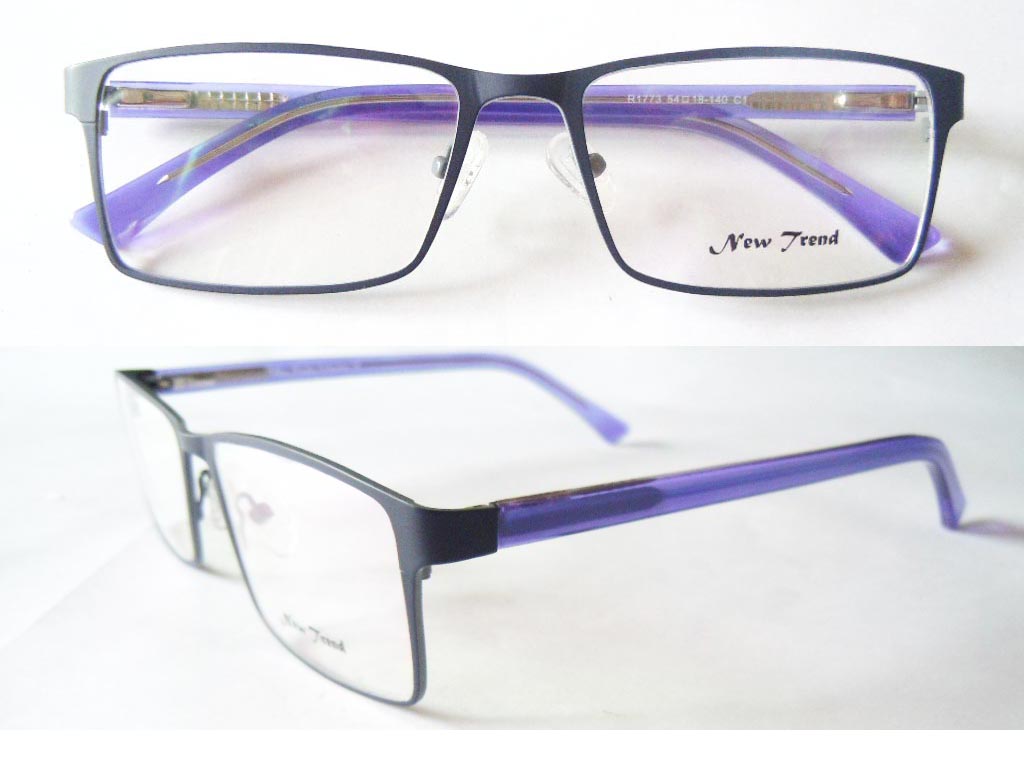 S481  Stainless Steel Spectacle Frame