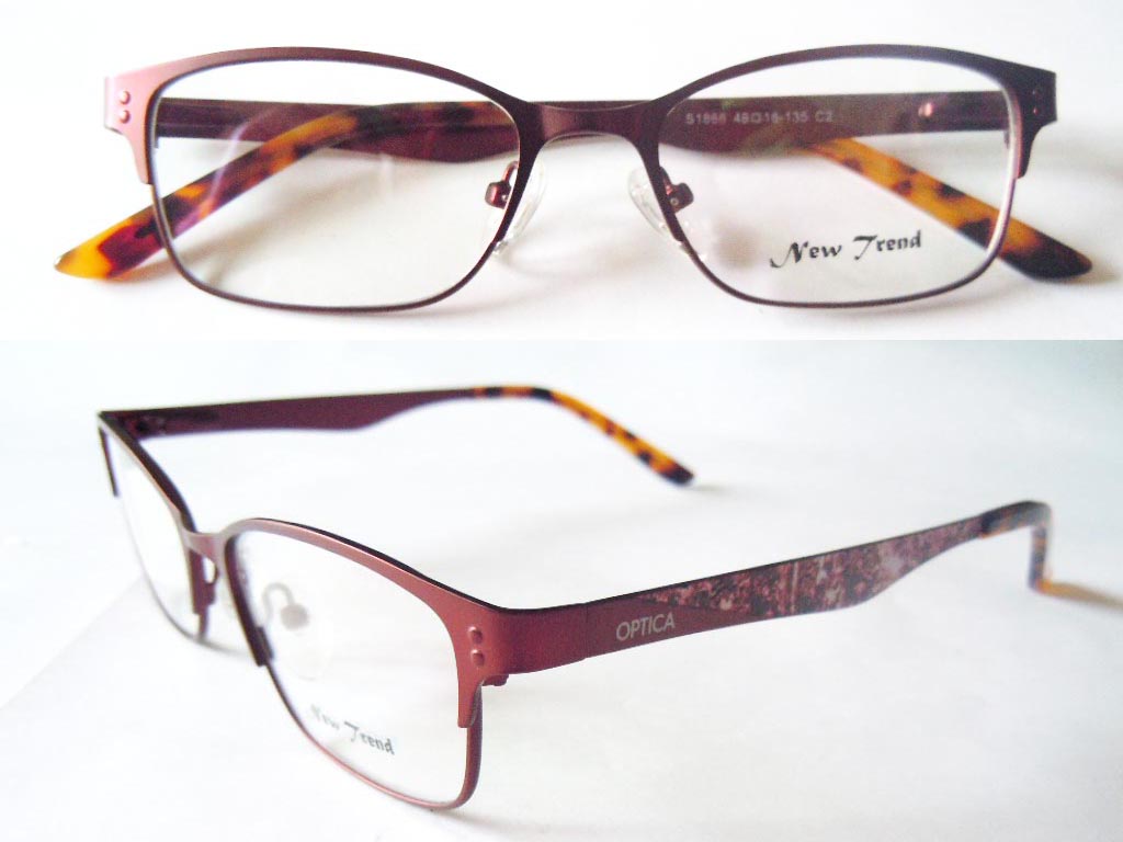 S487  Stainless Steel Spectacle Frame