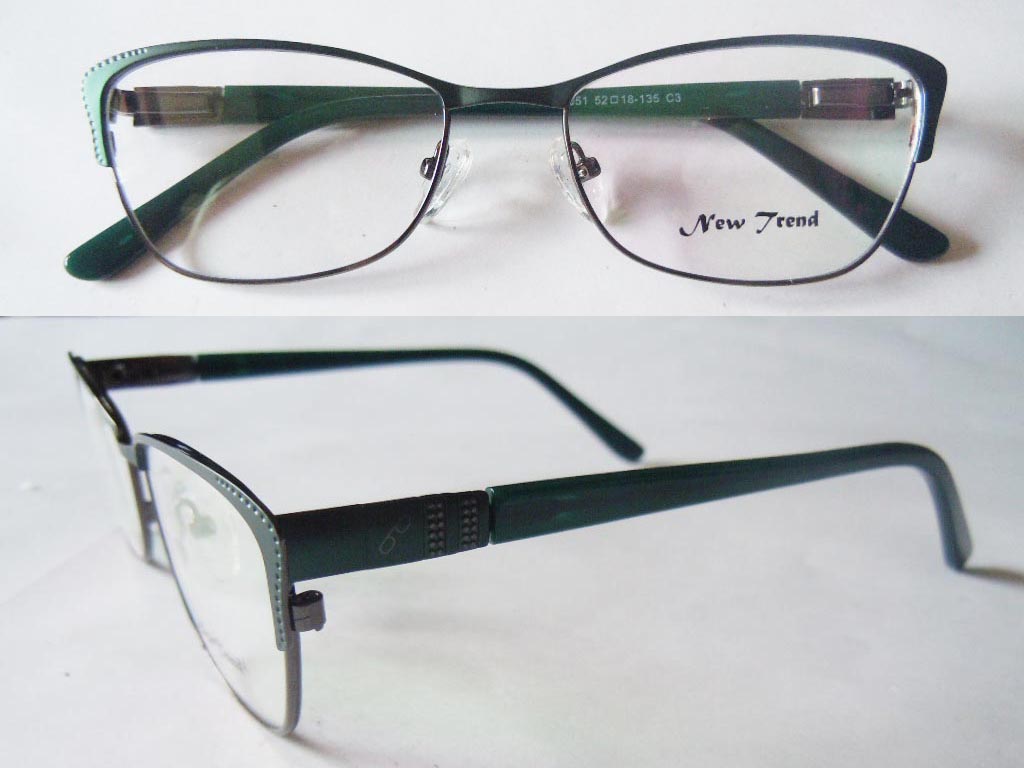 S488  Stainless Steel Spectacle Frame