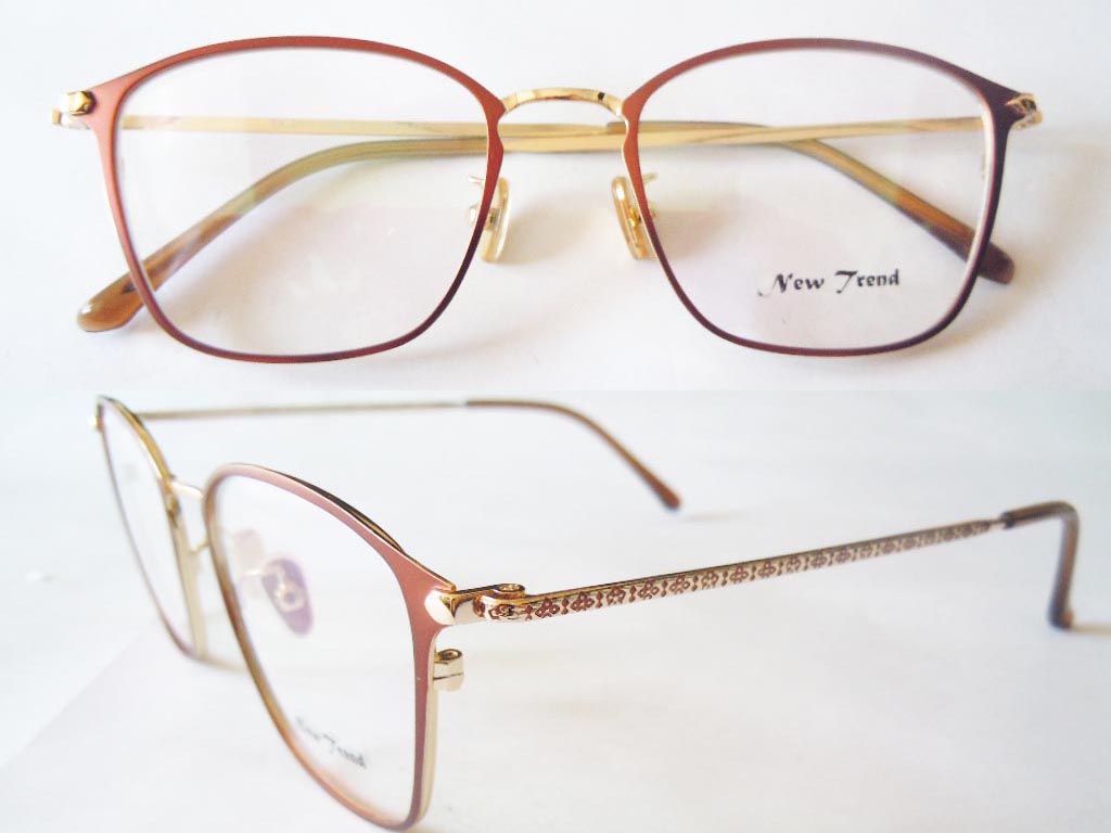 S492  Stainless Steel Spectacle Frame