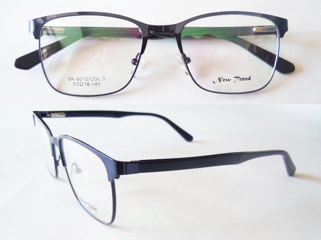 S497  Stainless Steel Spectacle Frame