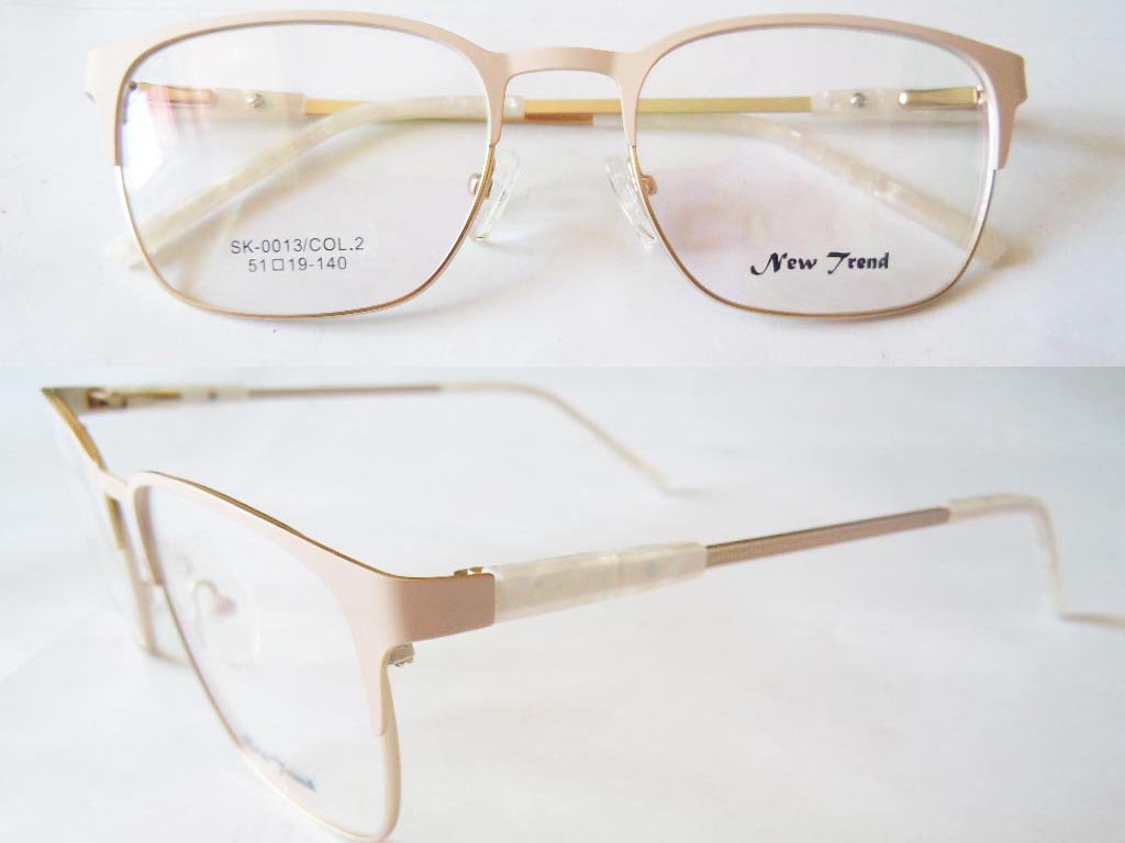 S498  Stainless Steel Spectacle Frame