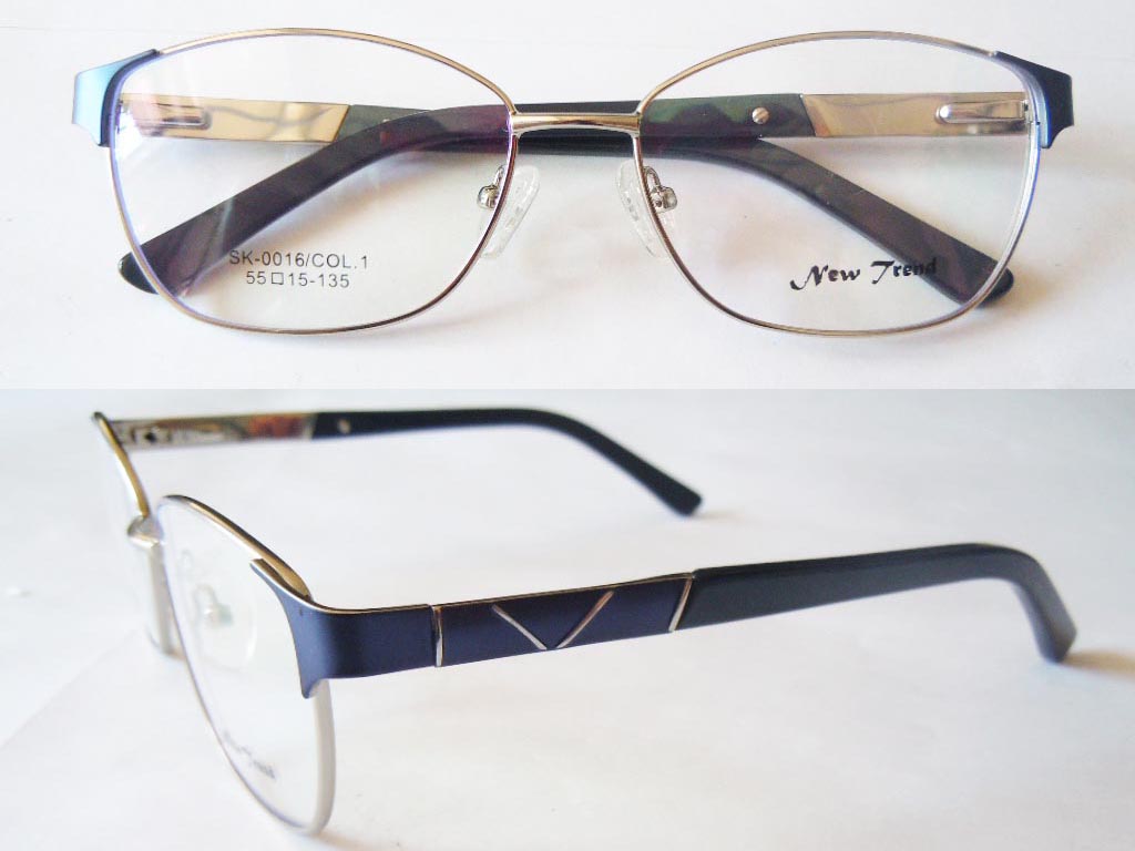 S500  Stainless Steel Spectacle Frame