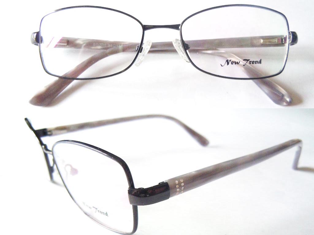 S511  Stainless Steel Spectacle Frame