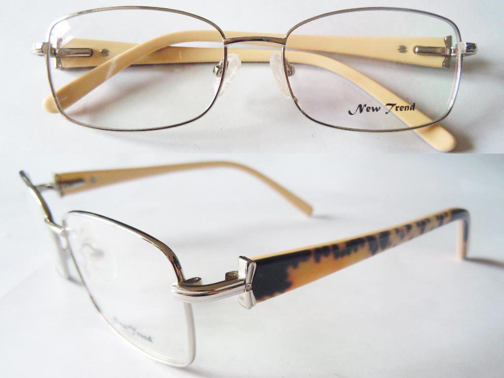 S513  Stainless Steel Spectacle Frame