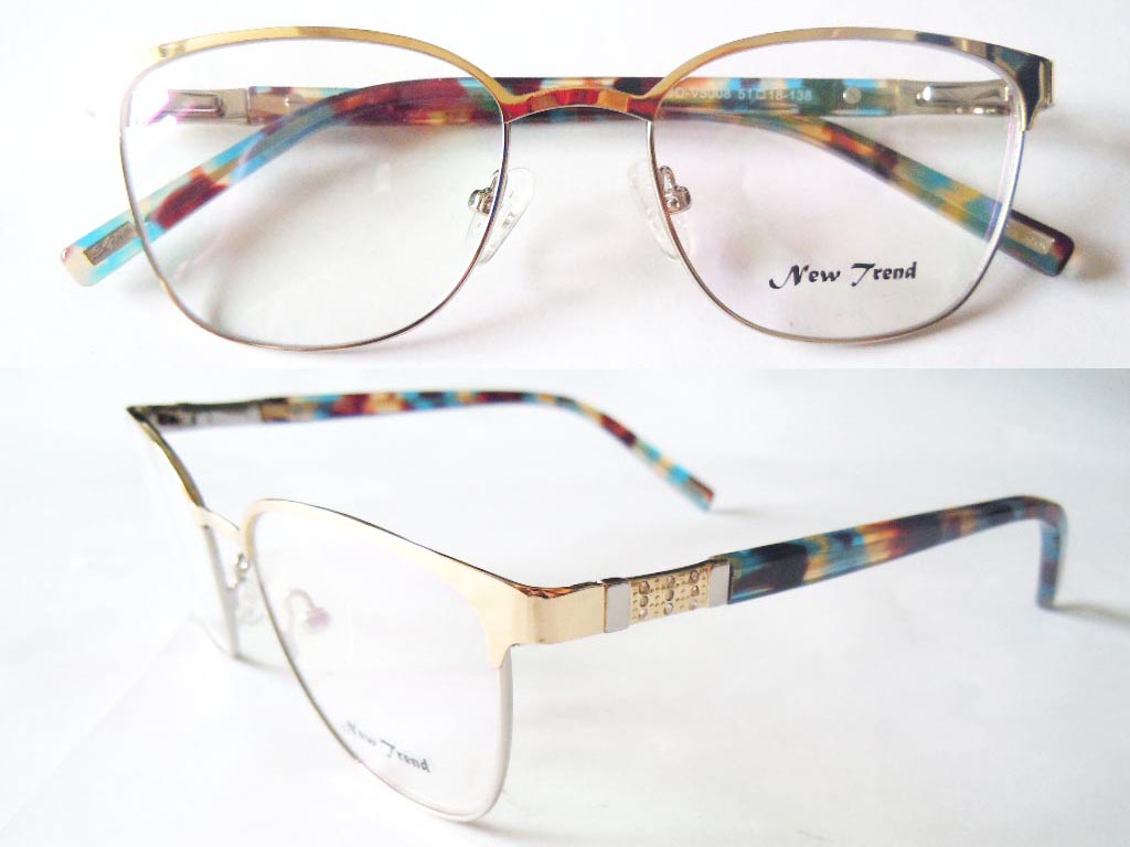 S520  Stainless Steel Spectacle Frame