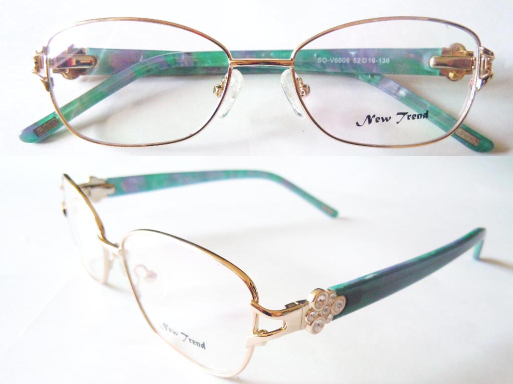 S521  Stainless Steel Spectacle Frame