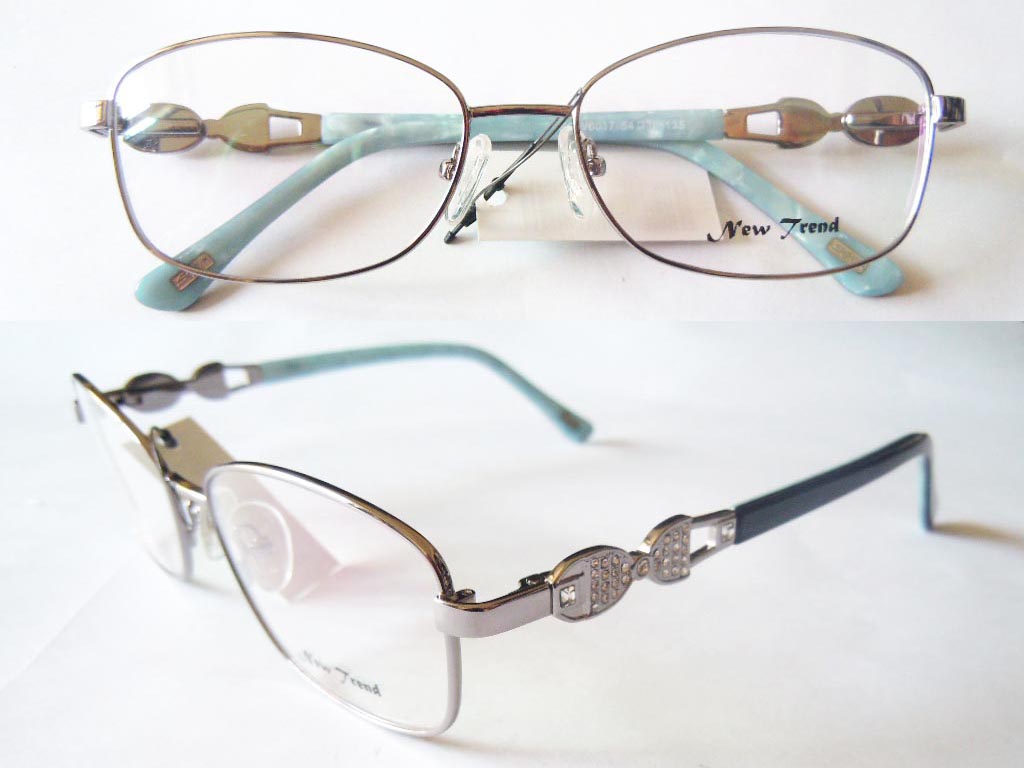 S524  Stainless Steel Spectacle Frame