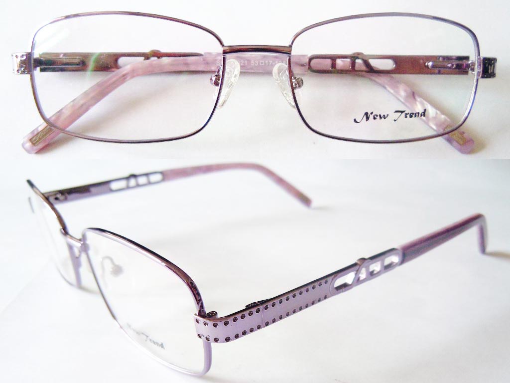 S525  Stainless Steel Spectacle Frame