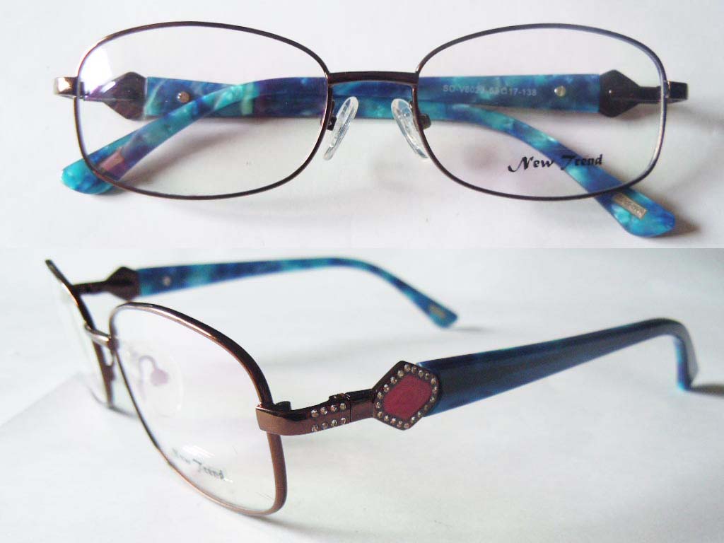 S527  Stainless Steel Spectacle Frame