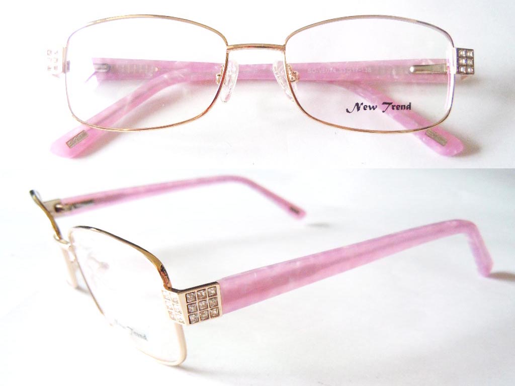 S528  Stainless Steel Spectacle Frame