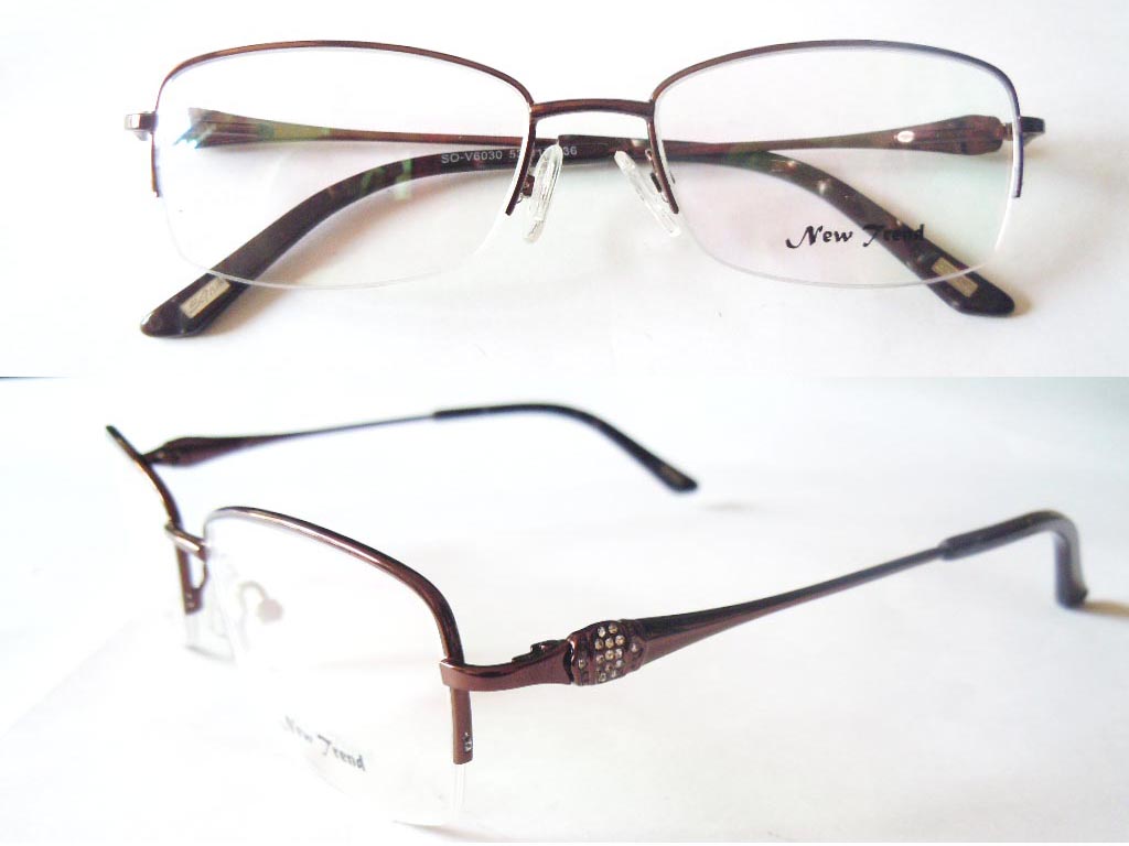 S529  Stainless Steel Spectacle Frame