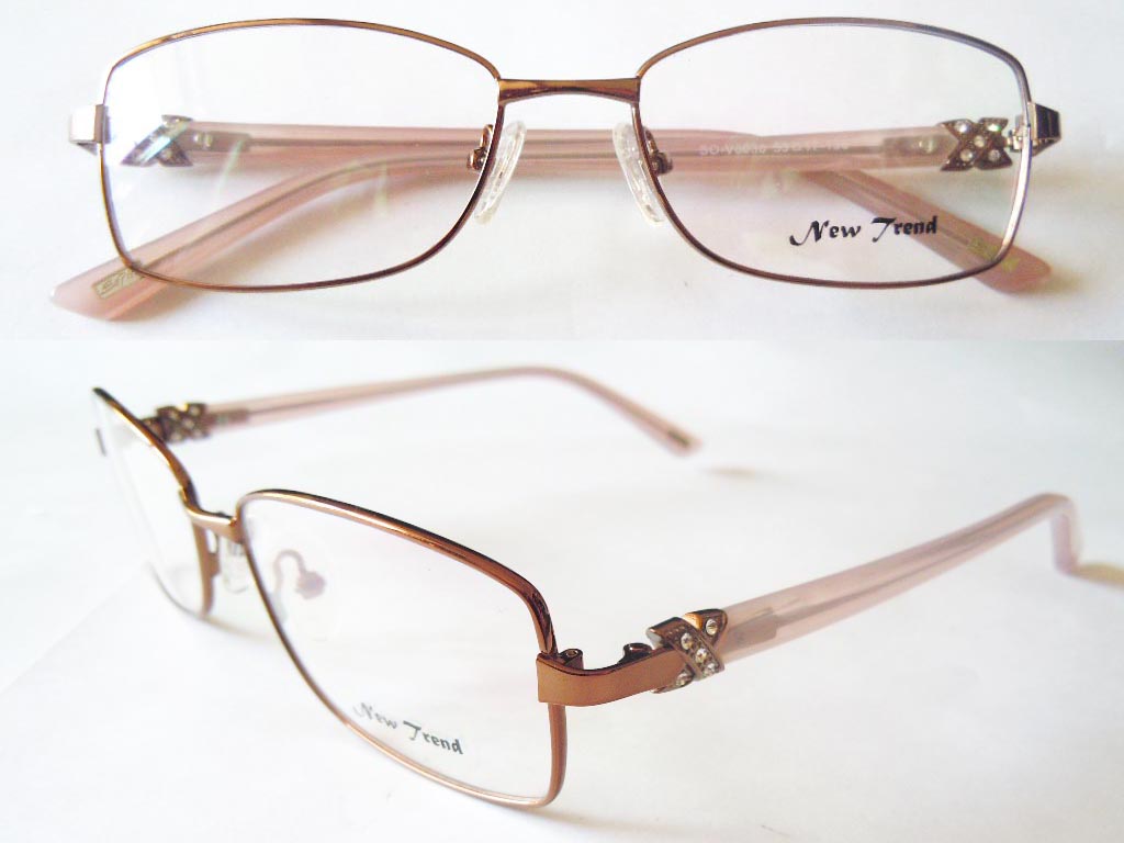 S531  Stainless Steel Spectacle Frame