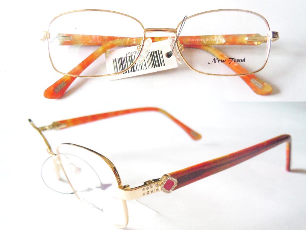 S538  Stainless Steel Spectacle Frame